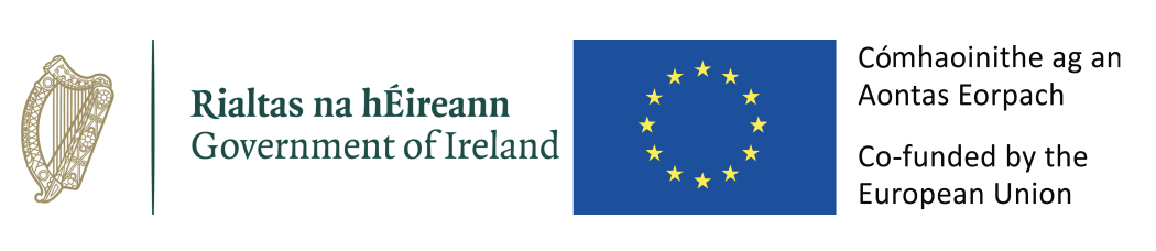 Government Of Ireland Logos